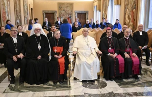 Pope Francis meets with an ecumenical delegation from Finland on Jan. 20, 2025, at the Vatican. Credit: Vatican Media