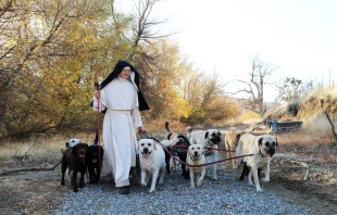 A sister of the Norbertine Canonesses of Bethlehem Priory of St. Joseph walks with some of the priory’s dogs, who are raised as part of their dog-breeding program in 2025. Credit: Photo courtesy of the Norbertine Canonesses