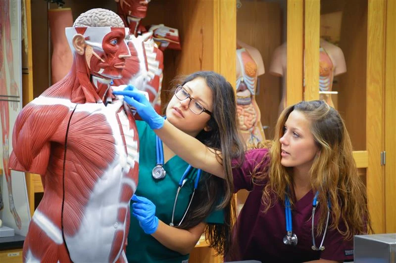 St. Thomas University announced on Feb. 27, 2025, its plans for a 99,000-square-foot nursing college building.?w=200&h=150