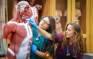 St. Thomas University announced on Feb. 27, 2025, its plans for a 99,000-square-foot nursing college building. Credit: Photo courtesy of St. Thomas University