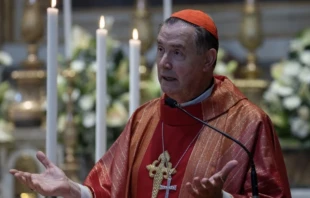 Cardinal Ángel Fernández Artime during his homily at the Mass of St. James the Apostle in the Spanish church in Rome. Credit: Daniel Ibáñez/ EWTN News