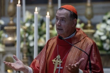 Cardinal l Ángel Fernández Artime