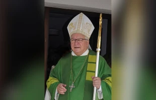 Bishop Markus Büchel of the Diocese of St. Gallen in Switzerland. Credit: Aurelius1717, CC BY-SA 4.0, via Wikimedia Commons