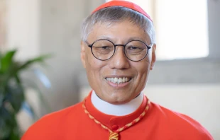 Cardinal Stephen Chow Sau-yan, SJ, archbishop of Hong Kong, China Daniel Ibáñez