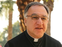 Father Thomas Rosica, CSB.