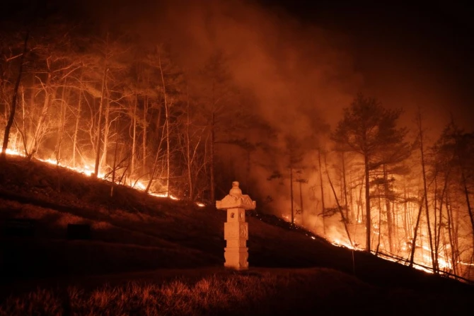 South Korea wild fires