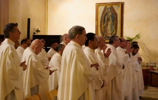 A group of U.S. and Mexican bishops from dioceses along the southern border participating in the biannual Tex-Mex Border Bishops meeting this week in San Antonio. Credit: Photo courtesy of the Archdiocese of San Antonio