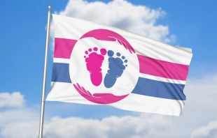 The pro-life flag from the Pro-Life Flag Project (www.prolifeflag.com). Credit: Pro-Life Flag Project (www.prolifeflag.com)