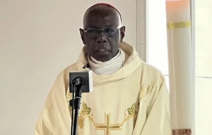 Cardinal Robert Sarah addresses members of the National Episcopal Conference of Cameroon (NECC) on April 9, 2024. Credit: NECC