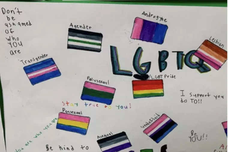 A poster of “polysexual” flags is displayed at Upper Elementary School in North Hanover Township, New Jersey, and is plaintiff Angela Reading’s exhibit attached to the complaint of a now-federal lawsuit.?w=200&h=150