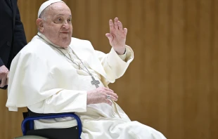 Pope Francis greets visitors at his general audience at the Vatican, Wednesday, Feb. 12, 2025. Credit: Vatican Media