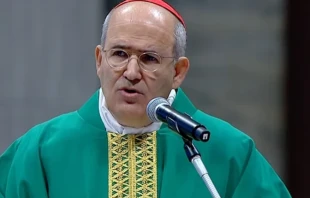 Cardinal José Tolentino de Mendonça delivers Pope Francis’ homily at a Mass for the Jubilee of Artists in St. Peter’s Basilica, Feb. 16, 2025. Credit: Screenshot/Vatican Media