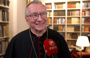 Cardinal Pietro Parolin speaks to EWTN News in Oslo, Norway, on Jan. 17, 2025. Credit: Fabio Gonella/EWTN News