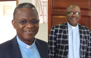 Nigerian priests Father George Ehusani, founder of the Psycho-Spiritual Institute (PSI) and executive director of the Lux Terra Leadership Foundation, and Father Hyacinth Ichoku, the vice chancellor of  Veritas University Abuja, expressed grave concern about the worsening security situation in Nigeria, noting recent activities by the less-known Lakurawa jihadist group in the country’s northwest region. Credit: Father George Ehusani